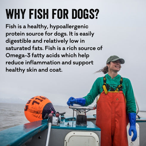 Polkadog Clam Chowda (Bits) 7 oz